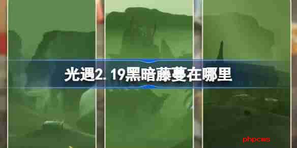 光遇2.19黑暗藤蔓在哪里-光遇2月19日染料位置攻略