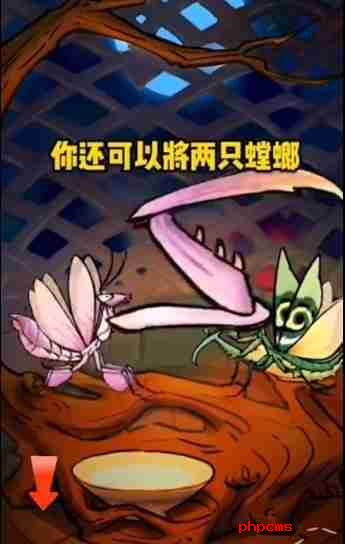 螂的诱惑白龙螳怎么获得 白龙螳获得方法