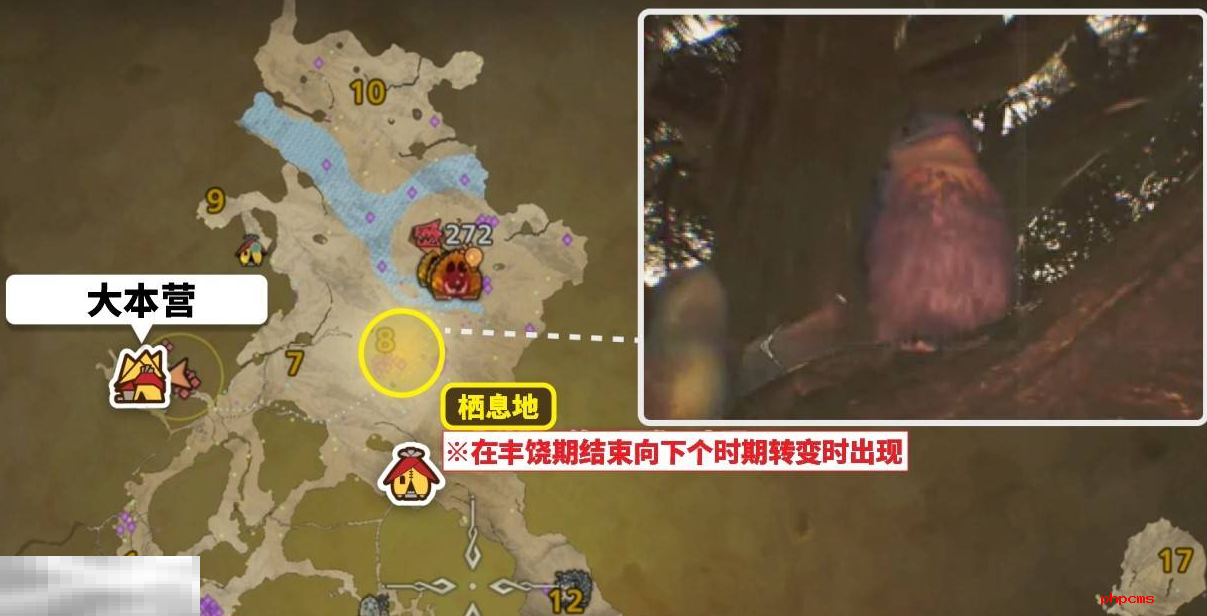 怪物猎人荒野美声歌鸮怎么抓 美声歌鸮捕获方法介绍