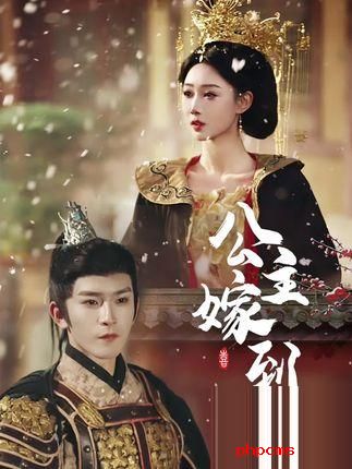 《公主嫁到》剧情介绍