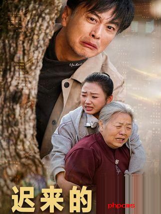 《迟来的正义》剧情介绍