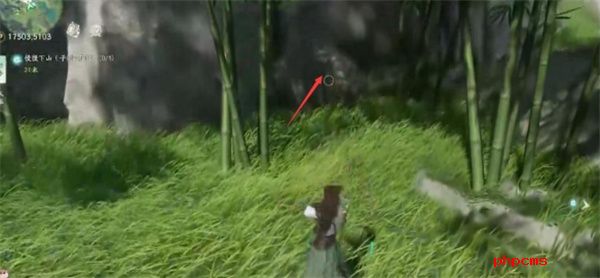 仙剑世界山神庙谜题解法攻略分享