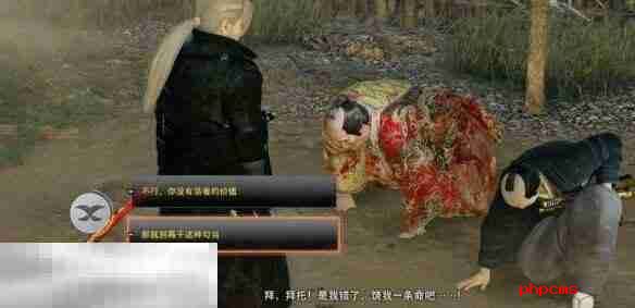 浪人崛起江户的栋梁支线任务 触发条件及流程攻略