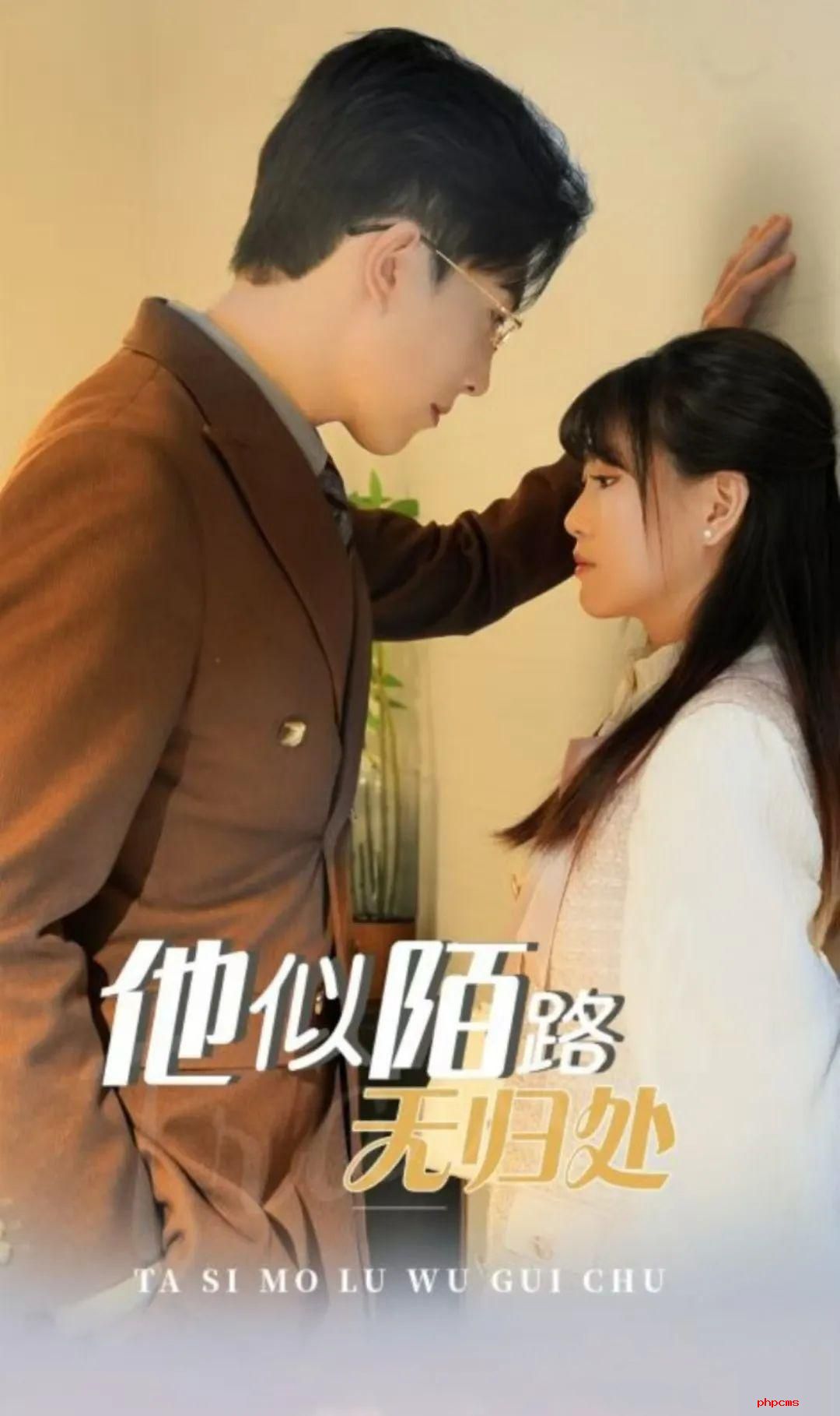 《他似陌路无归处》剧情介绍