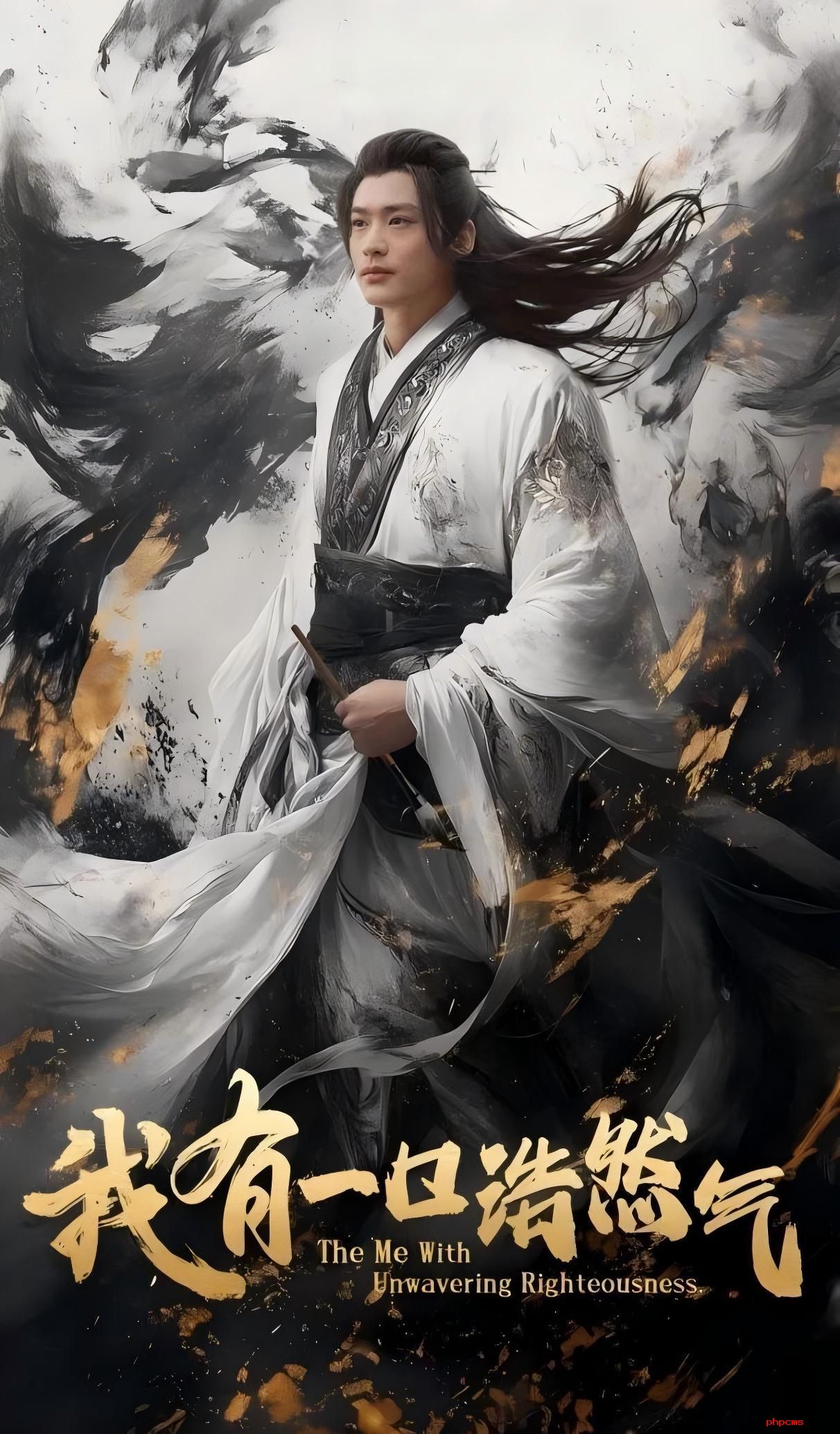 《我有一口浩然气》剧情介绍