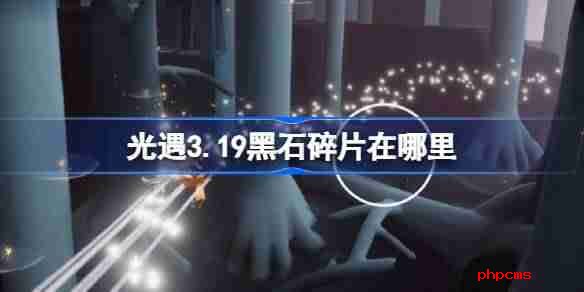 光遇3.19黑石碎片在哪里-光遇3月19日黑石碎片位置攻略