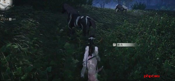 燕云十六声坐骑怎么获取