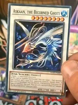 游戏王tcg鱼族新系列Ghoti效果