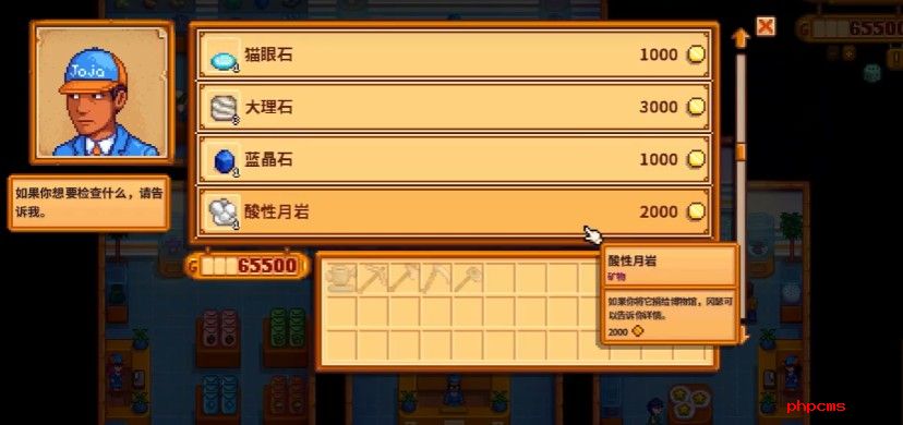 星露谷物语sve乔家商场有哪些物品出售