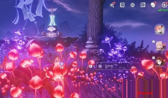 鸣潮幽夜幻梦任务怎么做 鸣潮幽夜幻梦任务攻略